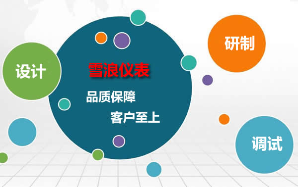 無(wú)錫雪浪儀表廠